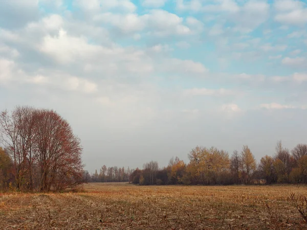 Toamna de aur pe un câmp rural agronomie — Fotografie, imagine de stoc