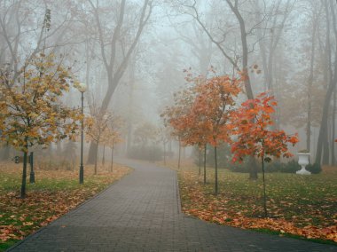 Sonbaharda sisli bir parkta, sıcacık bir sokak. Gomel, Belarus