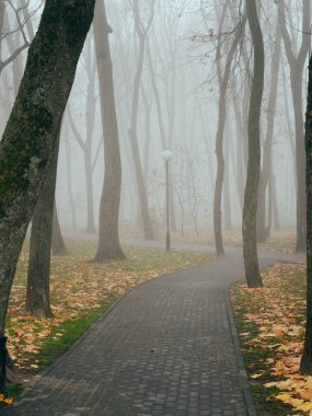 Sonbaharda sisli bir parkta, sıcacık bir sokak. Gomel, Belarus
