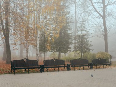 Sonbaharda sisli bir parkta rahat banklar. Gomel, Belarus
