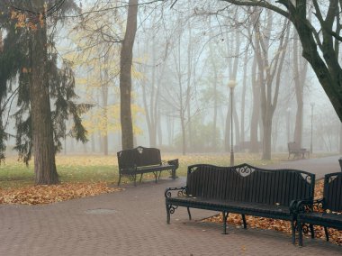 Sonbaharda sisli bir parkta rahat banklar. Gomel, Belarus