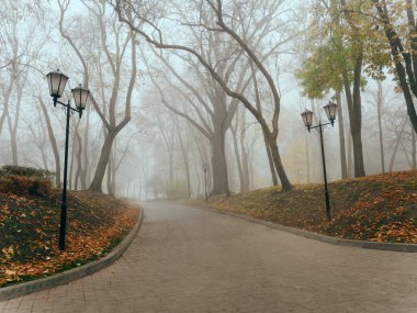 Sonbaharda sisli bir parkta, sıcacık bir sokak. Gomel, Belarus