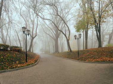 Sonbaharda sisli bir parkta, sıcacık bir sokak. Gomel, Belarus