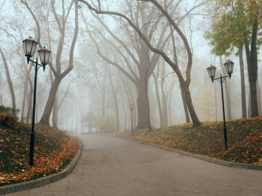 Sonbaharda sisli bir parkta, sıcacık bir sokak. Gomel, Belarus