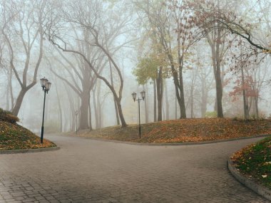 Sonbaharda sisli bir parkta, sıcacık bir sokak. Gomel, Belarus