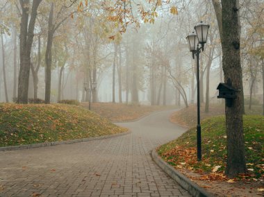 Sonbaharda sisli bir parkta, sıcacık bir sokak. Gomel, Belarus