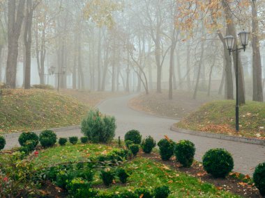 Sonbaharda sisli bir parkta, sıcacık bir sokak. Gomel, Belarus