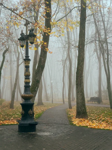 Затишна алея в міському тумані восени. Гомель (Білорусь) — стокове фото