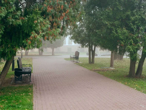 Cozy benches in a city foggy park in the fall. Gomel, Belarus — Stock Photo, Image