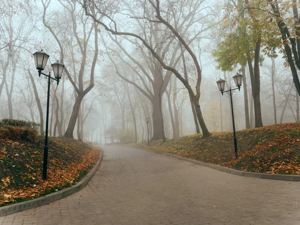 Άνετο δρομάκι σε πάρκο ομίχλης το φθινόπωρο. Gomel, Λευκορωσία — Φωτογραφία Αρχείου