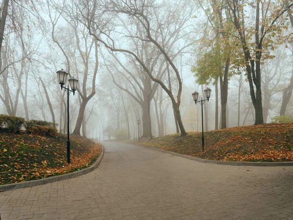 Sonbaharda sisli bir parkta, sıcacık bir sokak. Gomel, Belarus