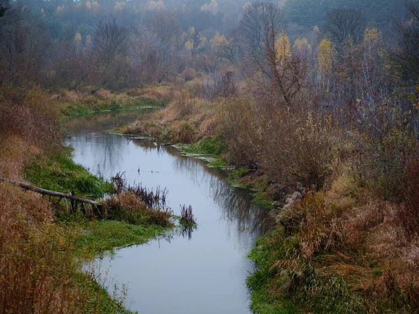 Lesní řeka v podzimním čase. klid a vyrovnanost — Stock fotografie