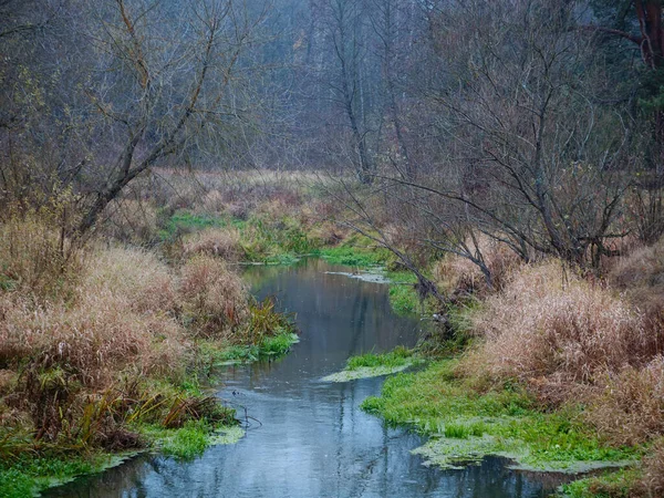 Rivière de la forêt en automne. calme et sérénité — Photo