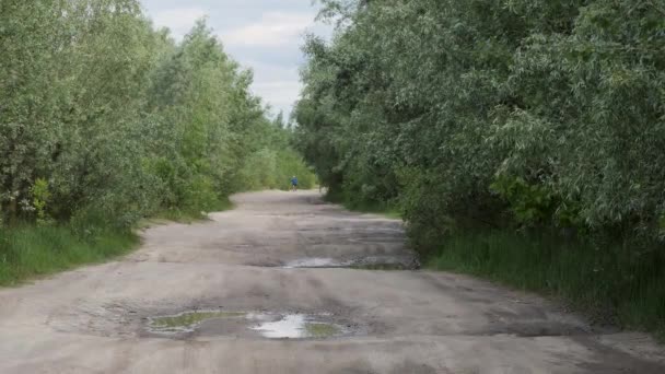 Camino Campo Con Charcos Matorrales Verdes — Vídeo de stock