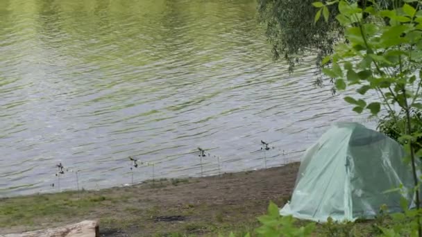 Campo Tenda Con Canne Spinning Sulla Riva Del Fiume — Video Stock