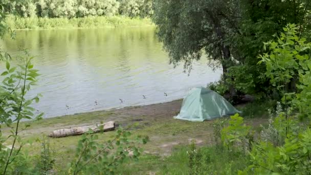 Campo Tenda Con Canne Spinning Sulla Riva Del Fiume — Video Stock