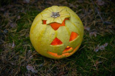 2020 'de karanlık bir çam ormanında Cadılar Bayramı balkabağı