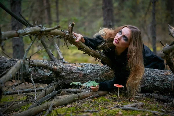 Dívka Čarodějnice Čarodějnice Tmavém Borovém Lese 2020 — Stock fotografie