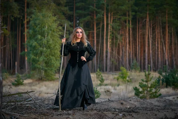 Bruxa Menina Bruxa Uma Floresta Pinheiros Escuros 2020 — Fotografia de Stock
