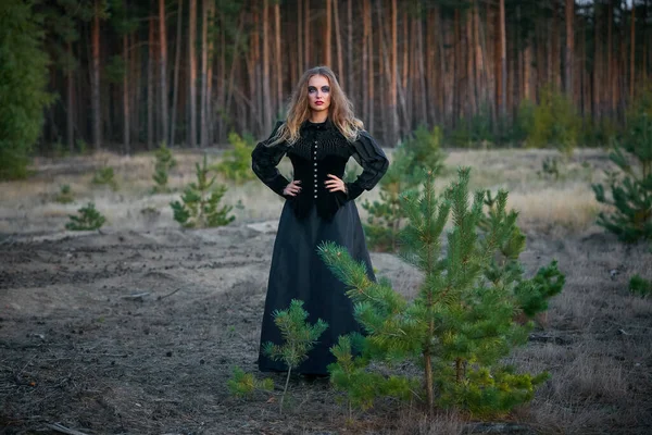 Fille Sorcière Sorcière Dans Une Forêt Pins Sombres 2020 — Photo