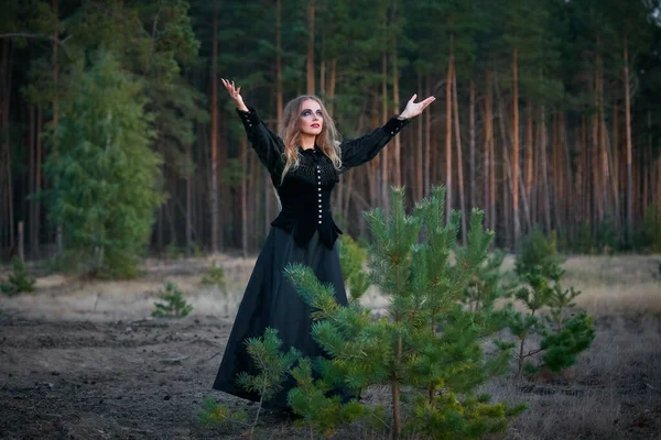 Bruxa Menina Bruxa Uma Floresta Pinheiros Escuros 2020 — Fotografia de Stock