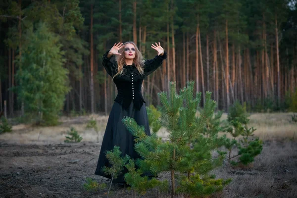 Ragazza Strega Strega Una Pineta Oscura 2020 — Foto Stock