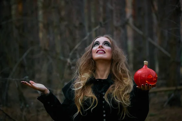 Fille Sorcière Sorcière Citrouille Sur Halloween Dans Une Forêt Pins — Photo