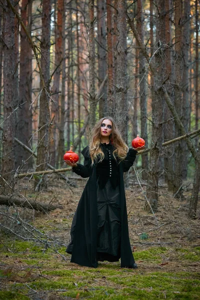 Menina Bruxa Abóbora Bruxa Dia Das Bruxas Uma Floresta Pinheiros — Fotografia de Stock
