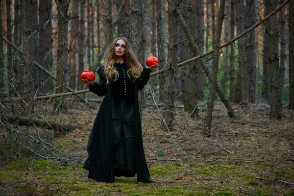 Menina Bruxa Abóbora Bruxa Dia Das Bruxas Uma Floresta Pinheiros — Fotografia de Stock