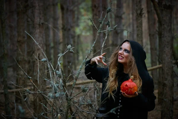 Fille Sorcière Sorcière Citrouille Sur Halloween Dans Une Forêt Pins — Photo