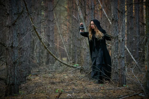 Sorcière Avec Une Lanterne Dans Une Forêt Pins Sombres 2020 — Photo