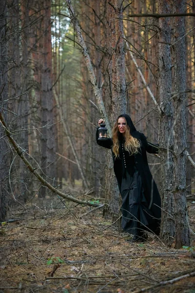 Відьма Дівчина Ліхтарем Темному Сосновому Лісі 2020 — стокове фото