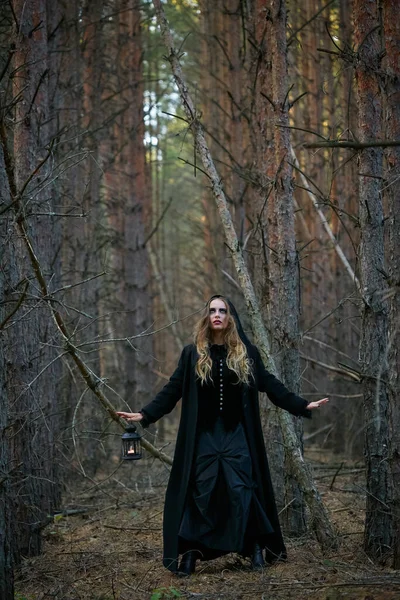 Sorcière Avec Une Lanterne Dans Une Forêt Pins Sombres 2020 — Photo