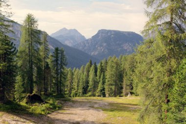 Misurina Dağı yakınlarındaki güzel Dolomite Dağları