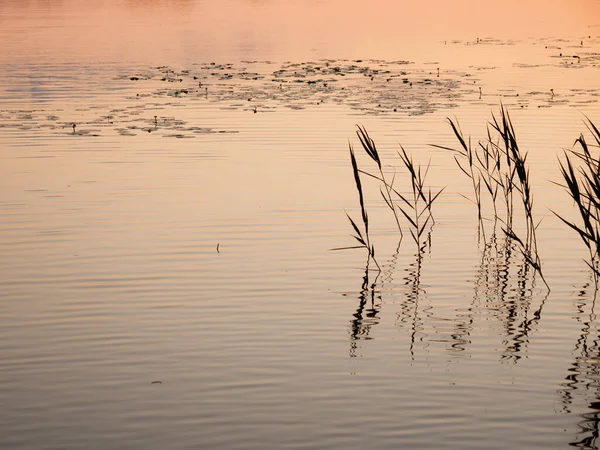 Expanse Water Lake Evening 2020 — Stock Photo, Image