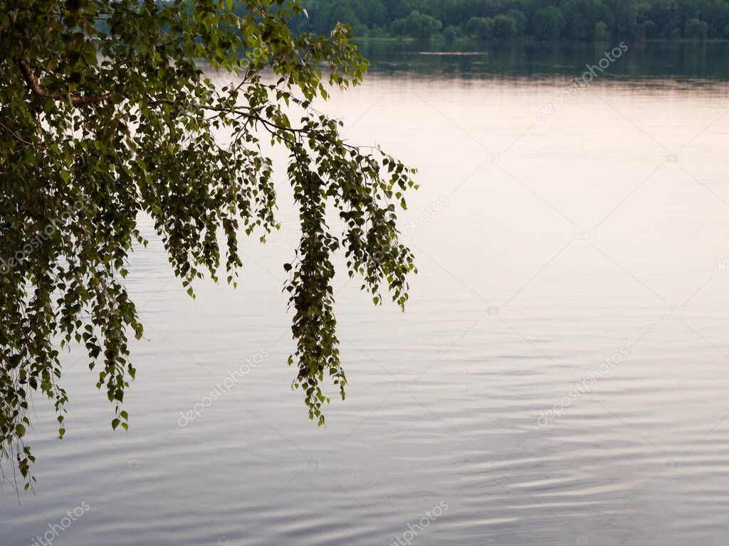 expanse of water on the lake in the evening 2020
