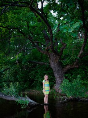 2020 'deki yaşlı meşe ağacının yanındaki kız.