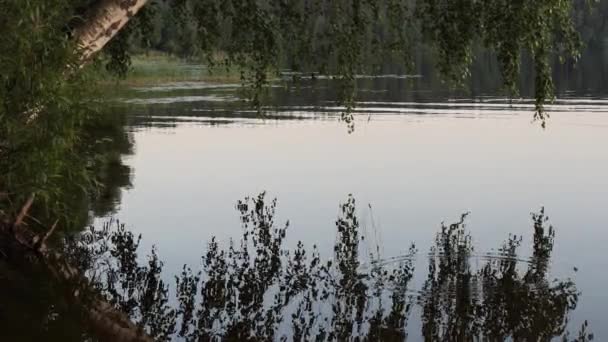 Vidsträckt Vatten Sjön Kvällen — Stockvideo