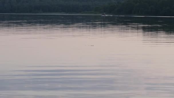 Båt Med Motor Sjön Kvällen — Stockvideo