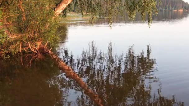 Distesa Acqua Sul Lago Sera — Video Stock