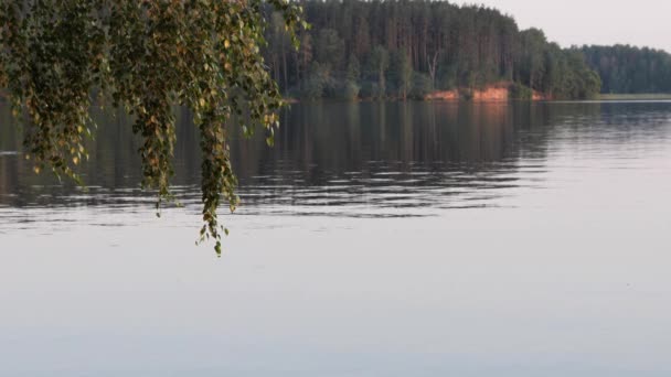 Vidsträckt Vatten Sjön Kvällen — Stockvideo