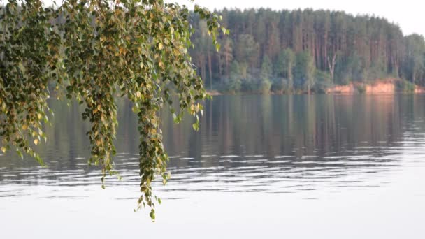 Vidsträckt Vatten Sjön Kvällen — Stockvideo