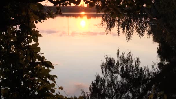 Distesa Acqua Sul Lago Sera — Video Stock