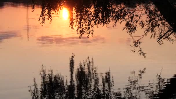 Étendue Eau Sur Lac Dans Soirée — Video