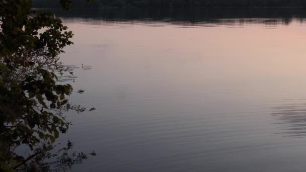 傍晚时分湖面上的广阔水域 — 图库视频影像