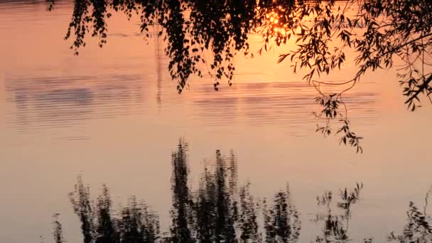 Extensão Água Lago Noite — Vídeo de Stock