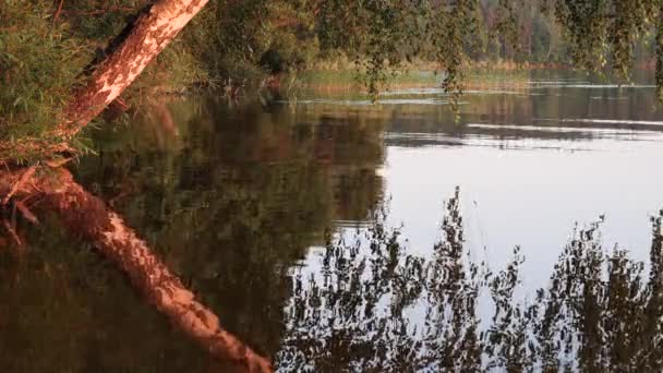 Vidsträckt Vatten Sjön Kvällen — Stockvideo