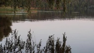 Güzel kız gün batımında bir gölde yıkanır.