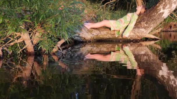 Hermosa chica en un árbol sobre el agua al atardecer — Vídeos de Stock