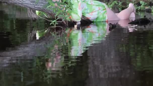 Το κορίτσι κείτεται στο νερό σε ένα κλαδί ενός παλιού δέντρου — Αρχείο Βίντεο
